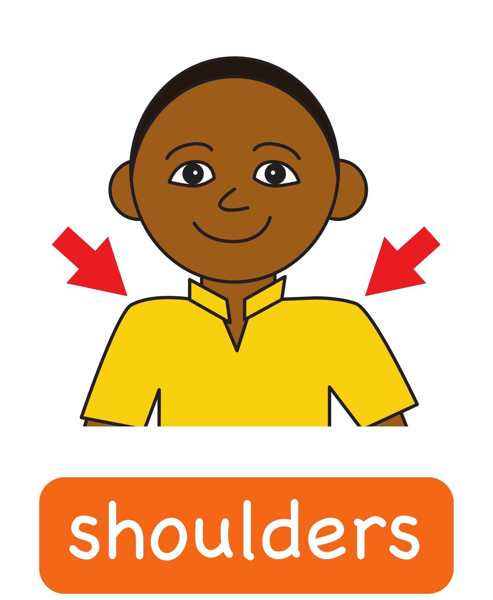 Shoulder на английском. Shoulders for Kids. Shoulders Flashcard. Shoulders картинка для детей. Shoulders нарисованный для детей.